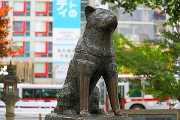 Tokyo Shibuya Crossing Walking Tour