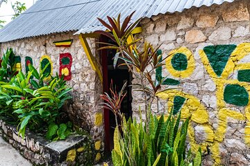 The Essential Bob Marley Tour: Visit His Home and more