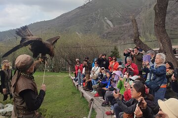 Almaty Hiking Adventure-Japanese Road and Eagle Show