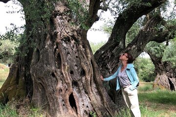 Relax Day: Thermal Lake, Olive Oil Tasting & Poseidon Temple Tour
