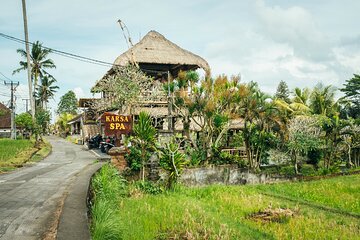 Bali Discovery: Ubud & Penglipuran Village in 3 Days Tour Package