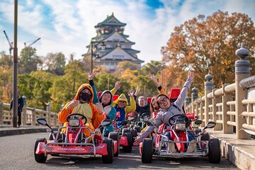 Osaka Go Karting Tour with Funny Costume