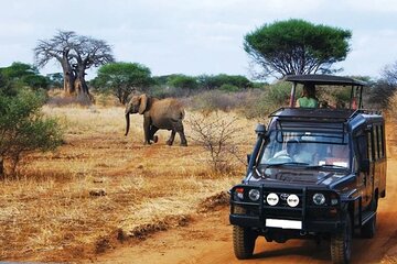 Half Day Tala Game Reserve and Natal Lion Park Safari from Durban