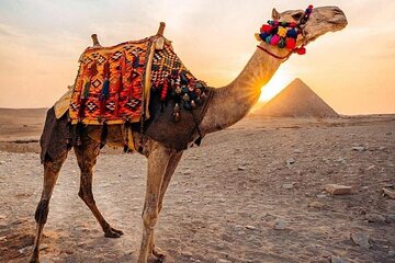 Pyramids Camel Ride from Cairo