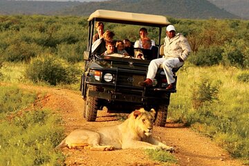  Half Day Safari Tala Game Reserve & Natal Lion Park from Durban