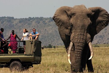 2 Day Private Safari Boat Cruise in Isimangaliso Park from Durban