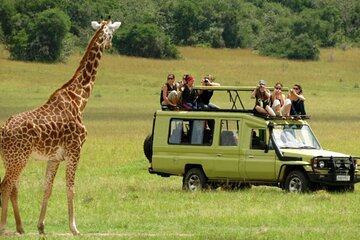 3 Days Drakensberg & Tala Private Game Reserve from Durban Tour