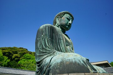 Kamakura Half Day Walking Tour with Local Experience