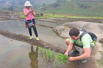 From Ha Noi: Sapa Trekking & Ha Giang Loop motorbike tour 6Days