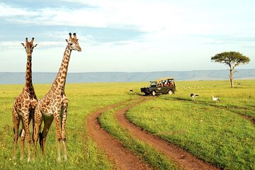 2 Day Lesotho Sani Pass, Nelson Mandela Capture Site & Tala Game Reserve Tour