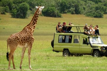 Half Day Safari - Tala Game Reserve and Natal Lion Park fr Durban