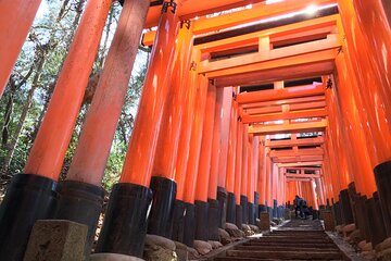  Kyoto Private Tour with National Licensed Guide 