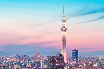 Tokyo Private 1 Day Tour with optional Guide