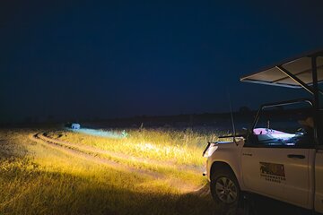 Night Game Drive in Zambezi National Park and Victoria Falls