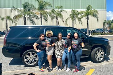 Disney Hotels Private Van Transfer to/from Orlando Intl Airport 