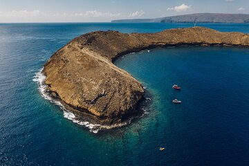 2hr Molokini Snorkel Trip - Redline