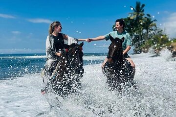 Sunrise Horse Riding black sand at Saba Beach Bali