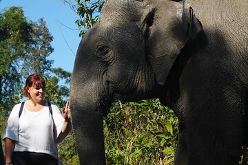 Siem Reap: Kulen Elephant Forest & Tonle Sap Lake Day Tour