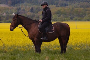 horseback riding tour in Prague