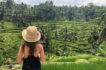 Bali Private Tour - Best of Ubud - All Inclusive