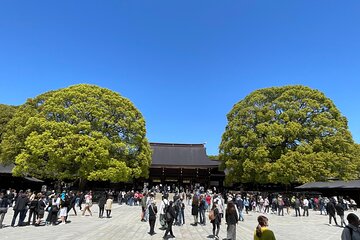 Private Guided Trivia Quest Tour at Harajuku Meiji-jingu