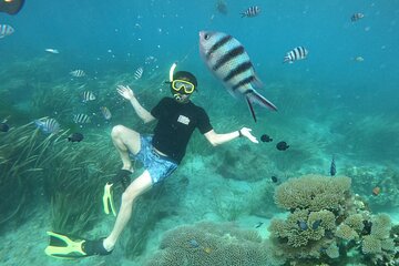 Bali Tropical Snorkeling and Mangrove Cruise