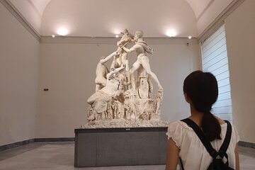 Naples National Archaeological Museum and historical centre private tour