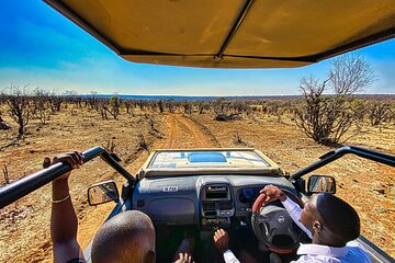 Unique 3 hour Safari Game Drive in Zambezi National Park 