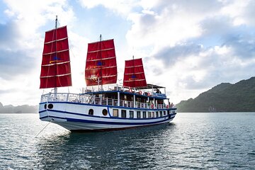 Amazing Sails Luxury Day Cruise from Halong, Pick Up Included
