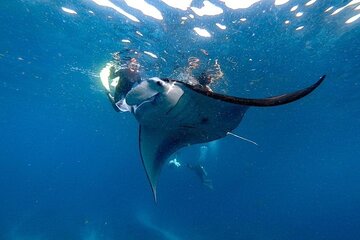 PRIVATE Nusa Penida on Boat Snorkeling & Island Tour (INCLUSIVE)