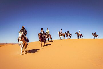  Explore Doha on Horseback