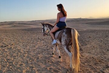 One Hour Horse Riding with Transfer from Hurghada 