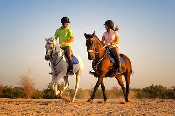 Desert Horseback Riding Adventure One Hour From Sharm El Sheikh 