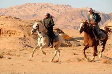 One Hour Desert Horseback Riding Adventure From Sharm El Sheikh 