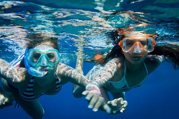 Dolphin House Samadai Reef Boat Snorkeling Trip from Marsa Alam