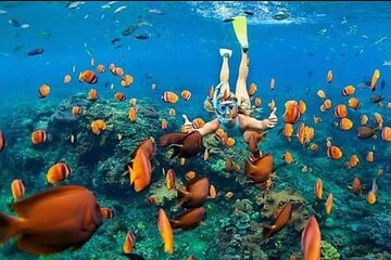 Blue Lagoon snorkeling & Watersports Activities in Nusa dua