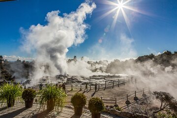 Rotorua Small Group Tour incl Te Puia, Buffet Lunch & Concert