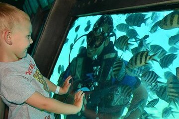 Conquest Semi Submarine Snorkeling Trip With transfer -Hurghada 