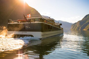 Private guided tour - Premium Nærøyfjord Cruise and Flåm Railway