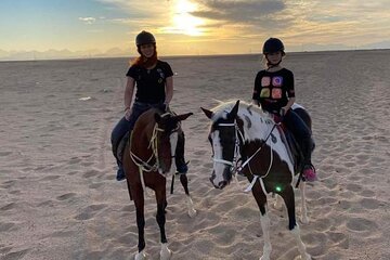 2 Hours of Private Horse Riding Activity in Hurghada