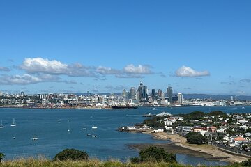 Auckland City Top Spots Half Day Private Tour