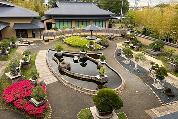 Private Omiya Bonsai Village Tour with Licensed Guide 