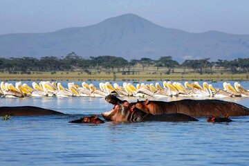 21Days Best of Kenya and Tanzania Mt Kilimanjaro Hike Diani Beach