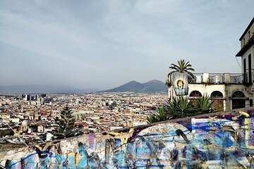 Daily walking tour of the city of Naples