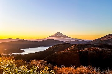 Mt. Fuji & Hakone Private Tour with English-speaking guide 