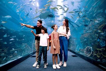 Skip The Line: Lost Chambers E-Ticket at Atlantis the Palm Dubai