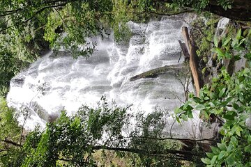 Rincon volcano hike +Waterfall swim + Hot springs+ lunch buffet