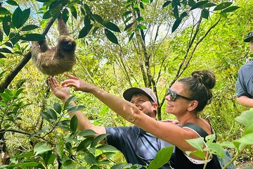 Private Sloth & Waterfall Tour at Dreams Las Mareas 