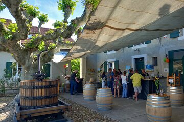 3 Hour Private Tour Countryside Vineyards with Local Wine Tasting