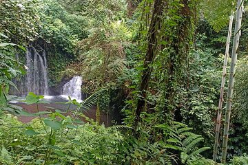 Jungle Trekking With Jatiluwih Unesco Heritage Site in Tabanan